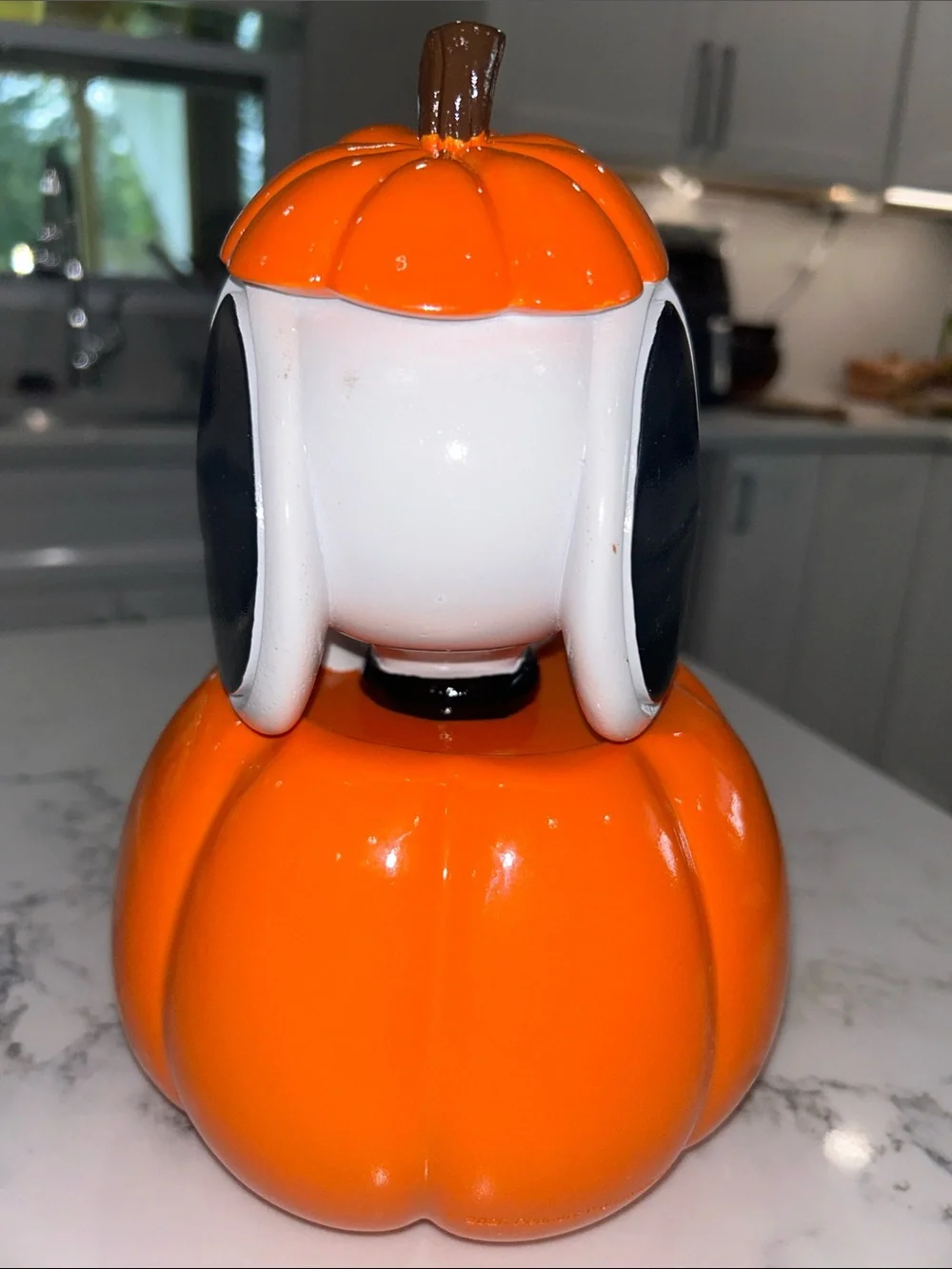 Peanuts Snoopy Halloween Pumpkin Decor